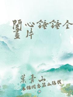 开心锤锤全集动画片