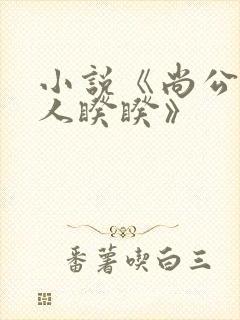 小说《尚公主伊人睽睽》