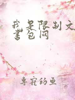 我是限制文女配书包网