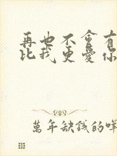 再也不会有人会比我更爱你歌词