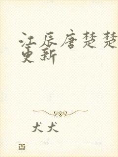 江辰唐楚楚最快更新