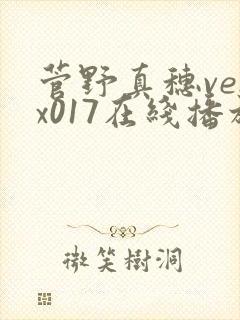 菅野真穗venx017在线播放