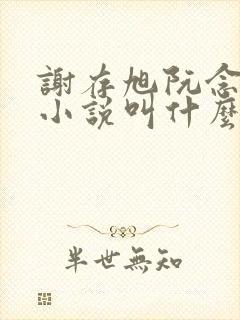 谢存旭阮念清的小说叫什么