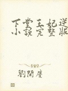 下堂王妃逆袭记小说完整版txt