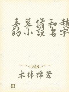 秦慕修和赵锦儿的小说名字叫什么