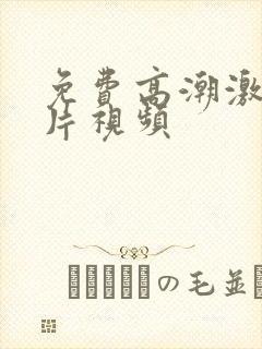 免费高潮激情毛片视频