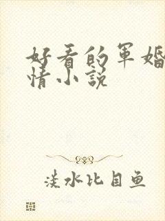 好看的军婚类言情小说