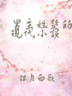 男主姓楚的所有现代小说