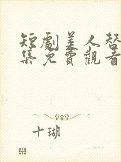 短剧美人替身全集免费观看