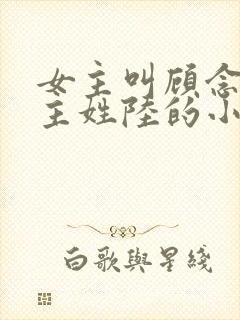 女主叫顾念念男主姓陆的小说