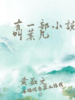 有一部小说主角叫叶凡