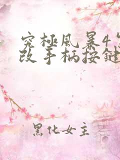 究极风暴4怎么改手柄按键