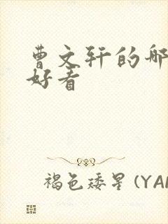 曹文轩的哪些书好看