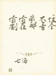 偷偷藏不住电视剧在哪看全集