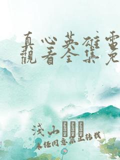 真心英雄电视剧观看全集免费高清