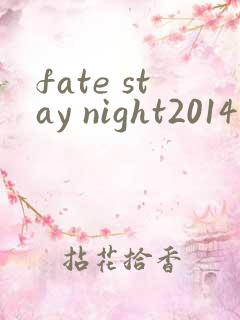 fate stay night2014版在线观看