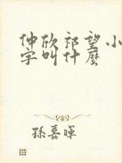 仲欣祁望小说名字叫什么