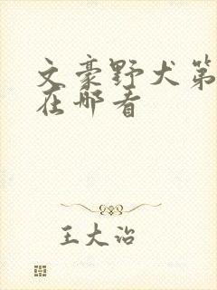 文豪野犬第六季在哪看