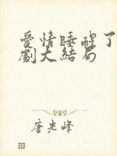 爱情睡醒了电视剧大结局