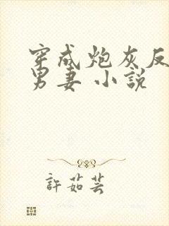 穿成炮灰反派的男妻 小说