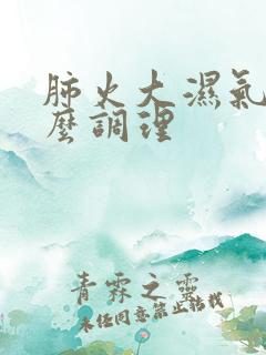 肺火大湿气重怎么调理