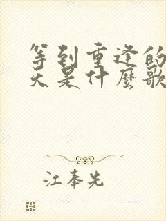 等到重逢的那一天是什么歌