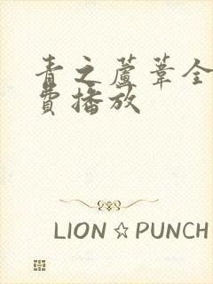 青之芦苇全集免费播放