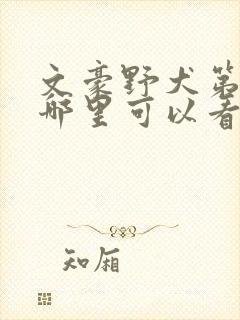 文豪野犬第二季哪里可以看