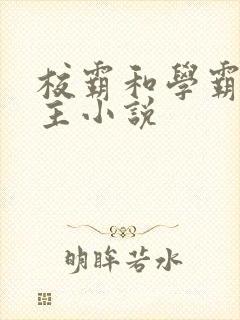 校霸和学霸双男主小说