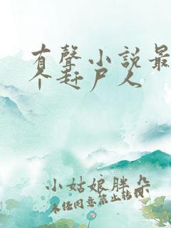 有声小说最后一个赶尸人