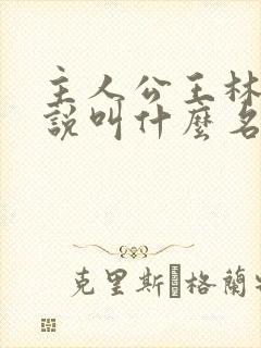 主人公王林的小说叫什么名字