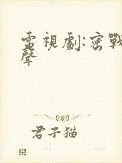 电视剧:密战无声