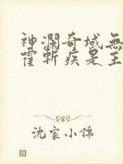 神澜奇域无双珠霍斩疾是主角吗