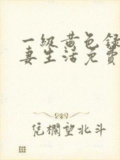 一级黄色录像夫妻生活免费看