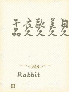 午夜欧美日韩精品久久久久久