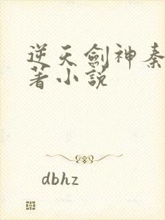 逆天剑神秦南原著小说