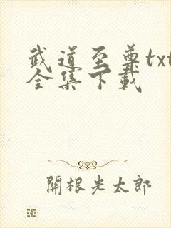 武道至尊txt全集下载