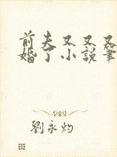 前夫又又又想复婚了小说笔趣阁