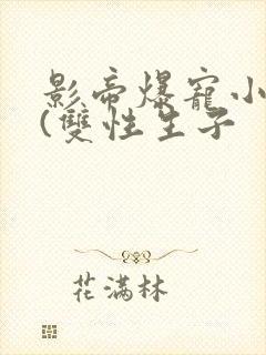 影帝爆宠小骚妻(双性生子