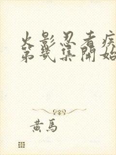 火影忍者疾风传第几集开始的