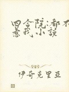 四合院:都不要惹我小说