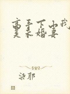 高手下山我的绝美未婚妻