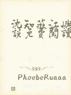 沈知薇江屿白小说免费阅读最新章节