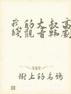 我的大叔高清在线观看韩剧