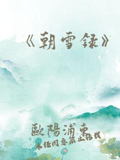 《朝雪录》小说