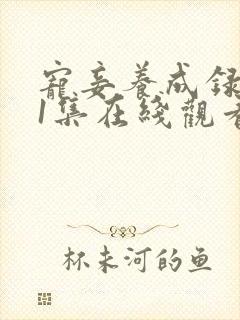 宠妾养成录第11集在线观看