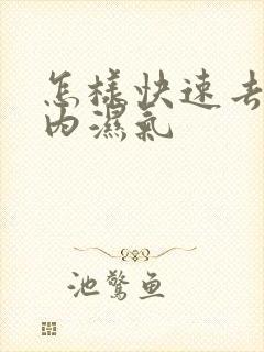 怎样快速去除体内湿气