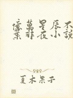 亿万星辰不及你叶非夜小说