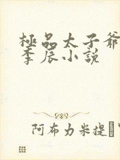 极品太子爷主角李辰小说