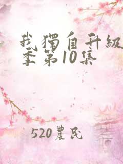 我独自升级第二季第10集